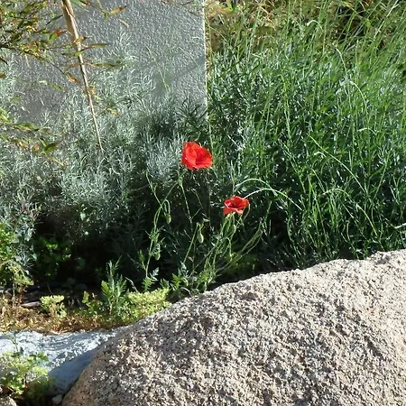 Cité Du Sel Appartamento *