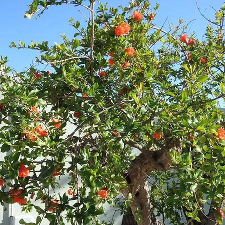 Appartamento Cité Du Sel *