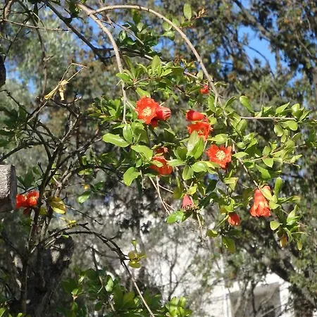 Cité Du Sel * Porto Vecchio