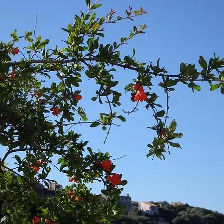 Appartamento Cité Du Sel *