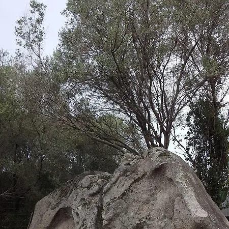 Cité Du Sel Appartamento Porto Vecchio
