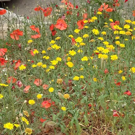 Appartamento Cité Du Sel Porto Vecchio