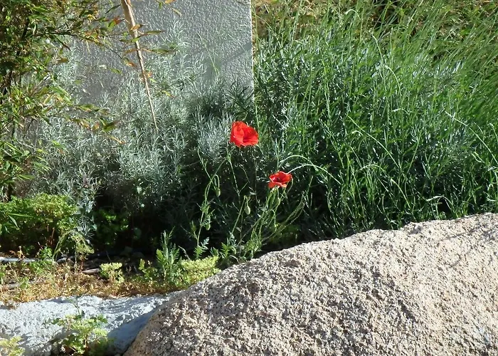 Cite Du Sel Apartmán *