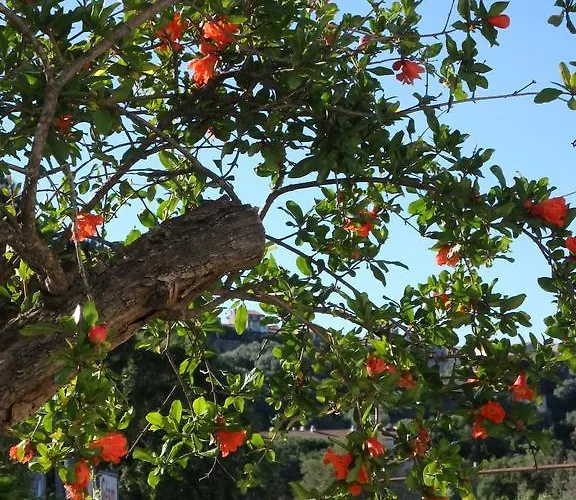 Cite Du Sel Apartmán