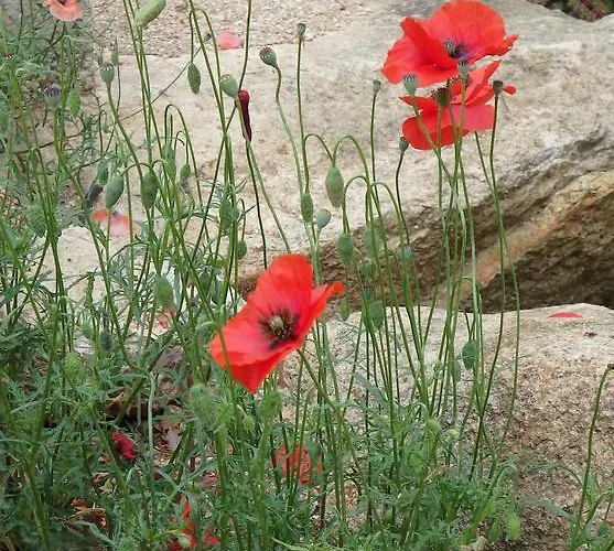 Apartmán Cite Du Sel *