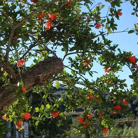 Cite Du Sel Lejlighed