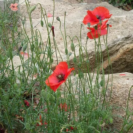 Lejlighed Cite Du Sel *