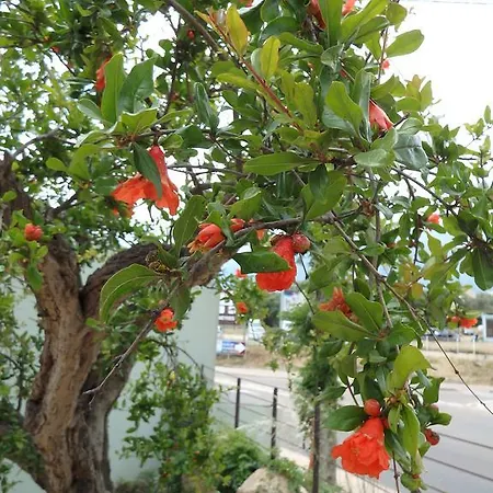 Cite Du Sel Lejlighed *