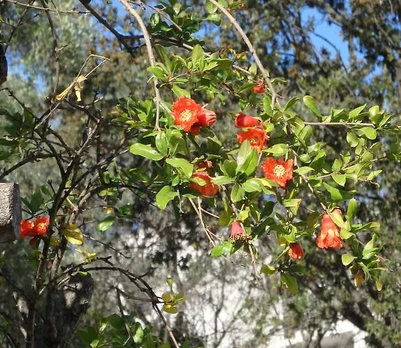 Cite Du Sel * Porto-Vecchio (Corsica)