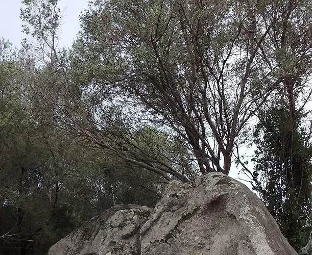 Cite Du Sel Daire Porto-Vecchio (Corsica)